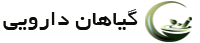 logofooter.png
