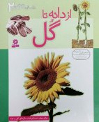 daneh-gol